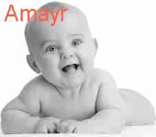 baby Amayr